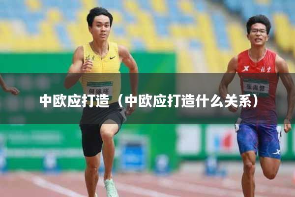 详细阅读:中欧应打造(中欧应打造什么关系) 中欧应打造(中欧应打造什么关系)