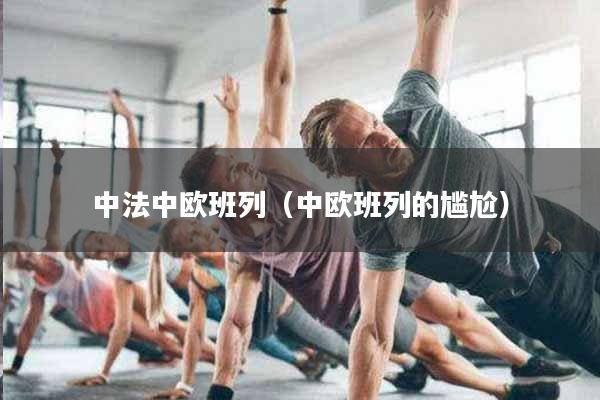 中法中欧班列（中欧班列的尴尬）