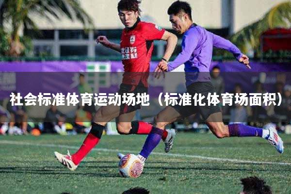 社会标准体育运动场地（标准化体育场面积）