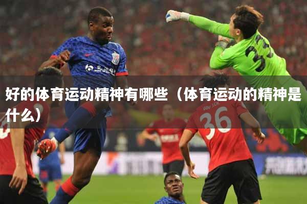 好的体育运动精神有哪些(体育运动的精神是什么)