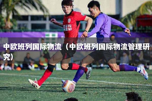 中欧班列国际物流（中欧班列国际物流管理研究）