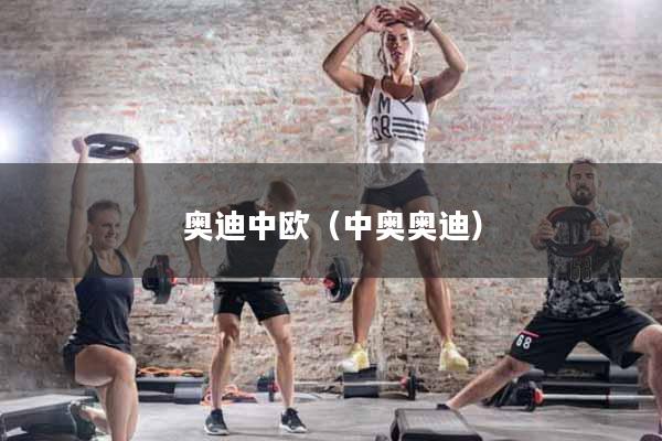 奥迪中欧（中奥奥迪）