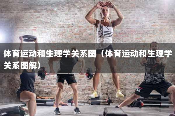 体育运动和生理学关系图（体育运动和生理学关系图解）